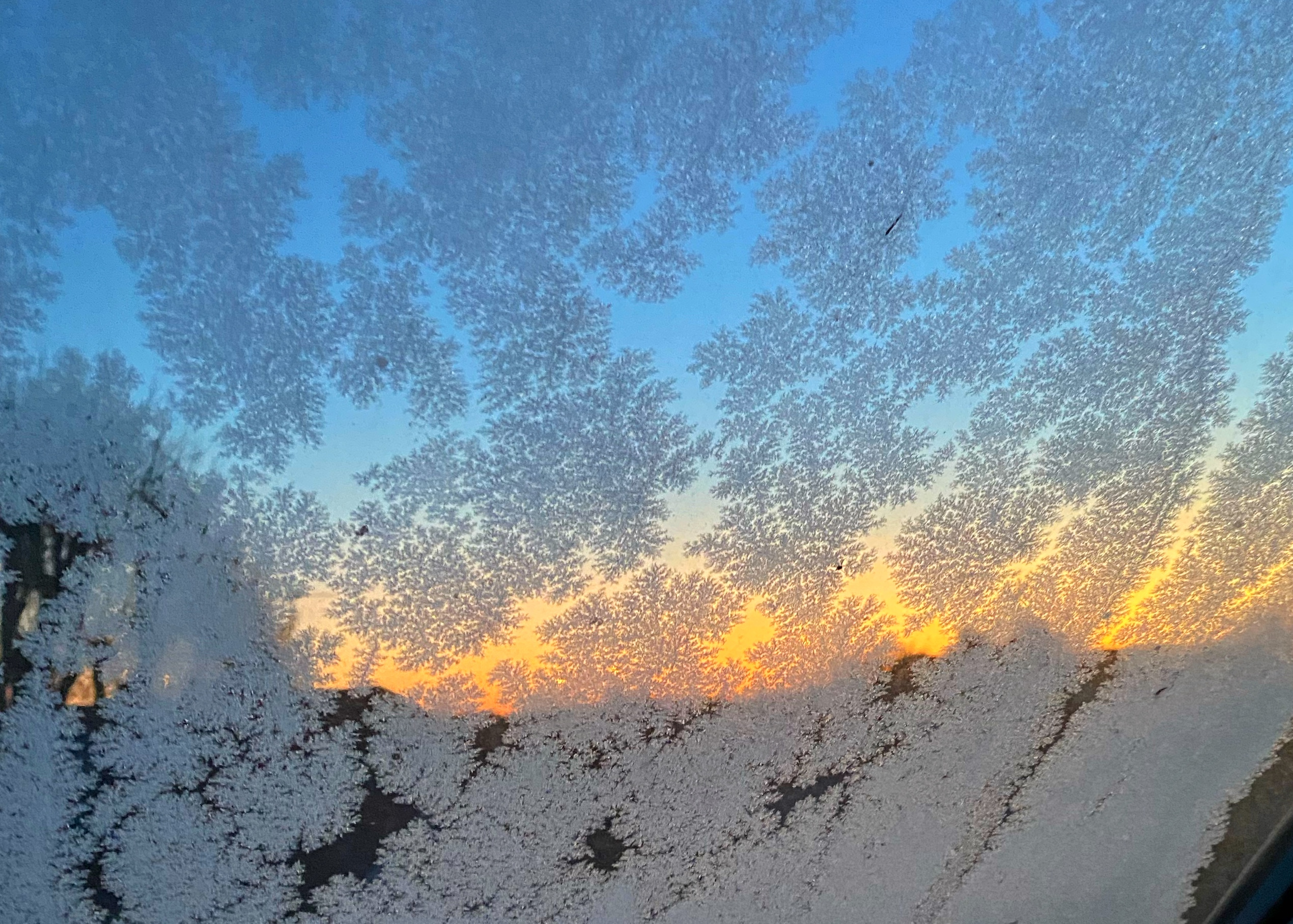 Winter: A Season of Restoration